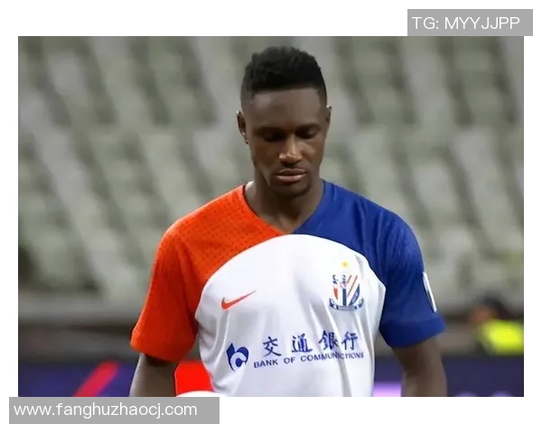 足球明星瓦特莱莱的传奇之路与辉煌成就全解析